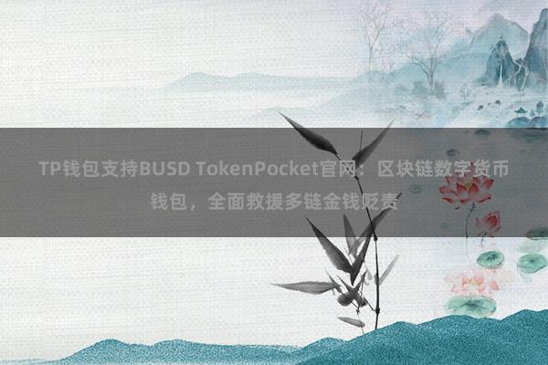 TP钱包支持BUSD TokenPocket官网：区块链数字货币钱包，全面救援多链金钱贬责