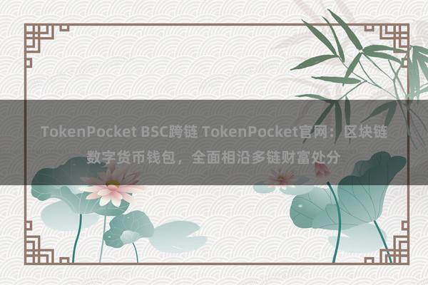 TokenPocket BSC跨链 TokenPocket官网：区块链数字货币钱包，全面相沿多链财富处分